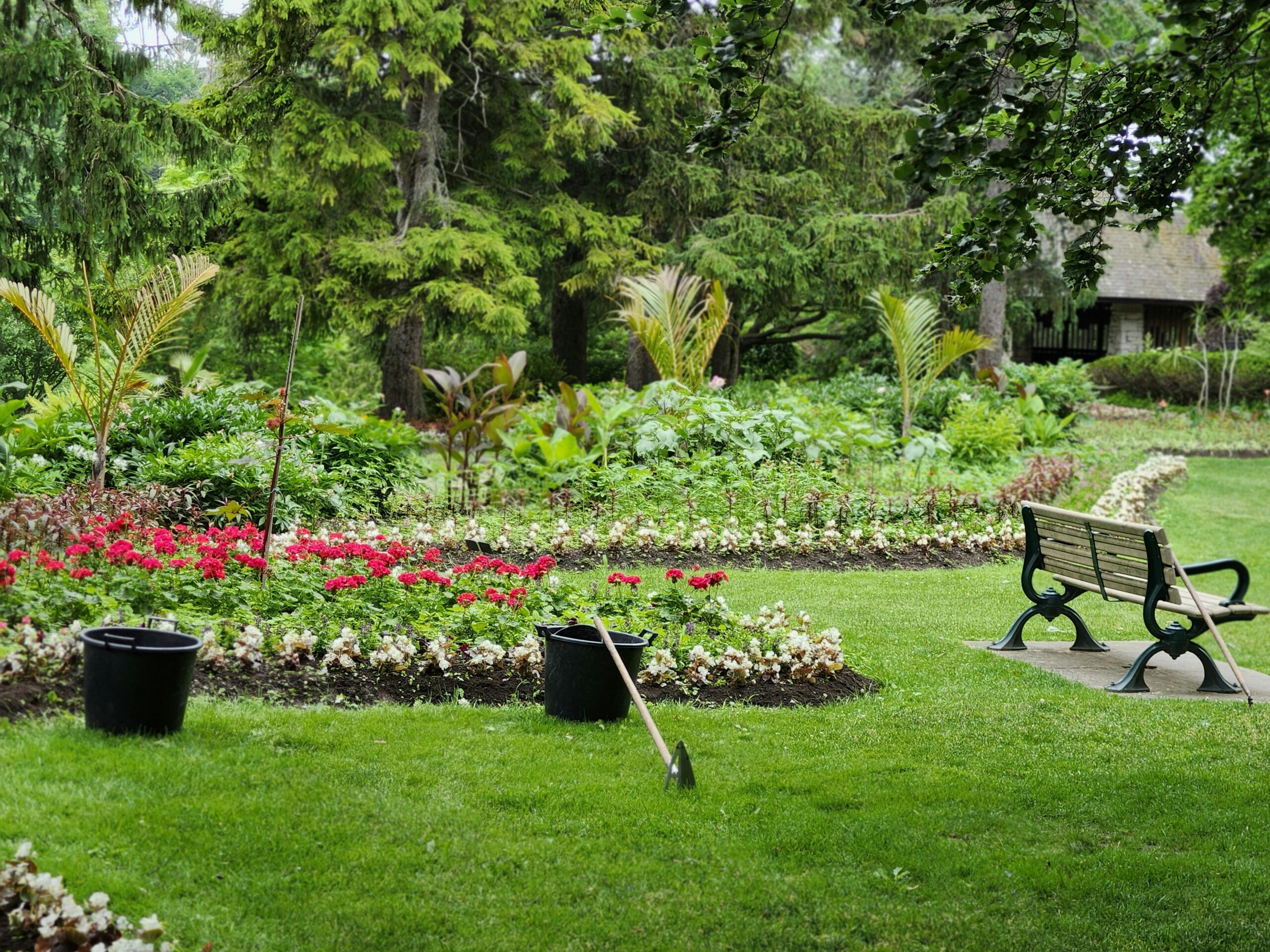 Lawn and Garden: Creating a Beautiful and Functional Outdoor Space