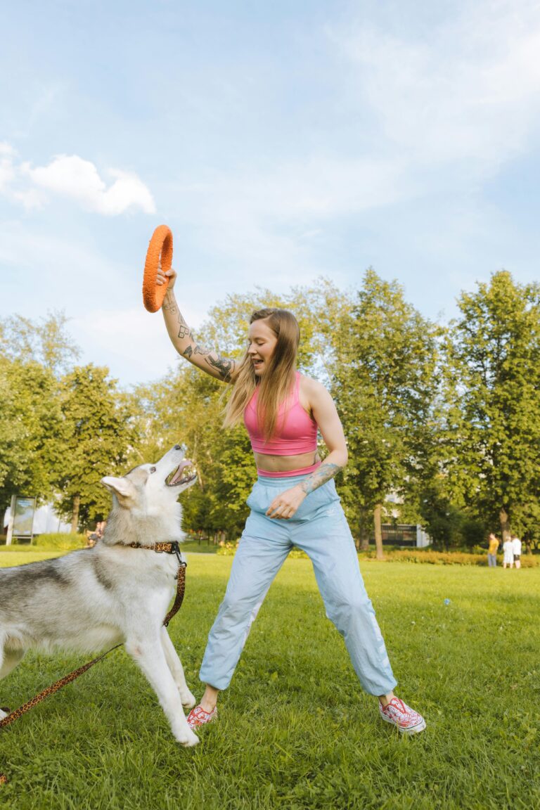 Pet Products: Essential Guide to Choosing the Best Products for Your Pets 1 25 pet products for dogs and cats collection modern accessories